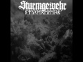 Sturmgewehr - The Stench Will Be Great (2014)