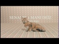 Un Seul Pas Video preview