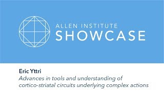 Eric Yttri | 2019 Allen Showcase Symposium