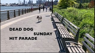 My World - Dead Dog Sunday Hit Parade