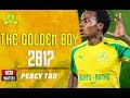 Percy Tau -The Golden Boy -Too Much Skills & Goals - 2017 |HD Mamelodi Sundowns F.C.