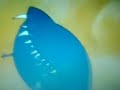 Worm Vore And Big Burp images Worm Vore And Big Burp