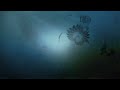 Spill the Truth from Food & Water Watch