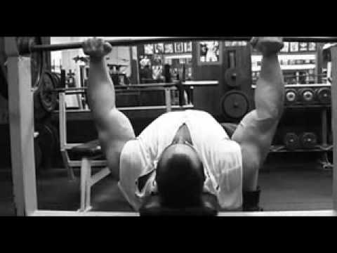 animal pak bodybuilders