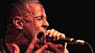 Watch Bear Witness Unleash The Swarm video