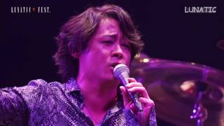 Serafina - DEAD END 2015 Serafina - DEAD END 2015