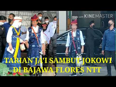 Tarian Ja'i Sambut Jokowi di Bajawa Flores-Tarian Ja'i Sambut Jokowi di Ngada-Tarian Ja'i Bajawa