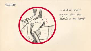 Soft saddles ? by Passier, naturally!