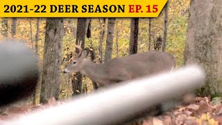 CLOSE RANGE Deer Hunting from the Ground - TN Muzzleloader Season