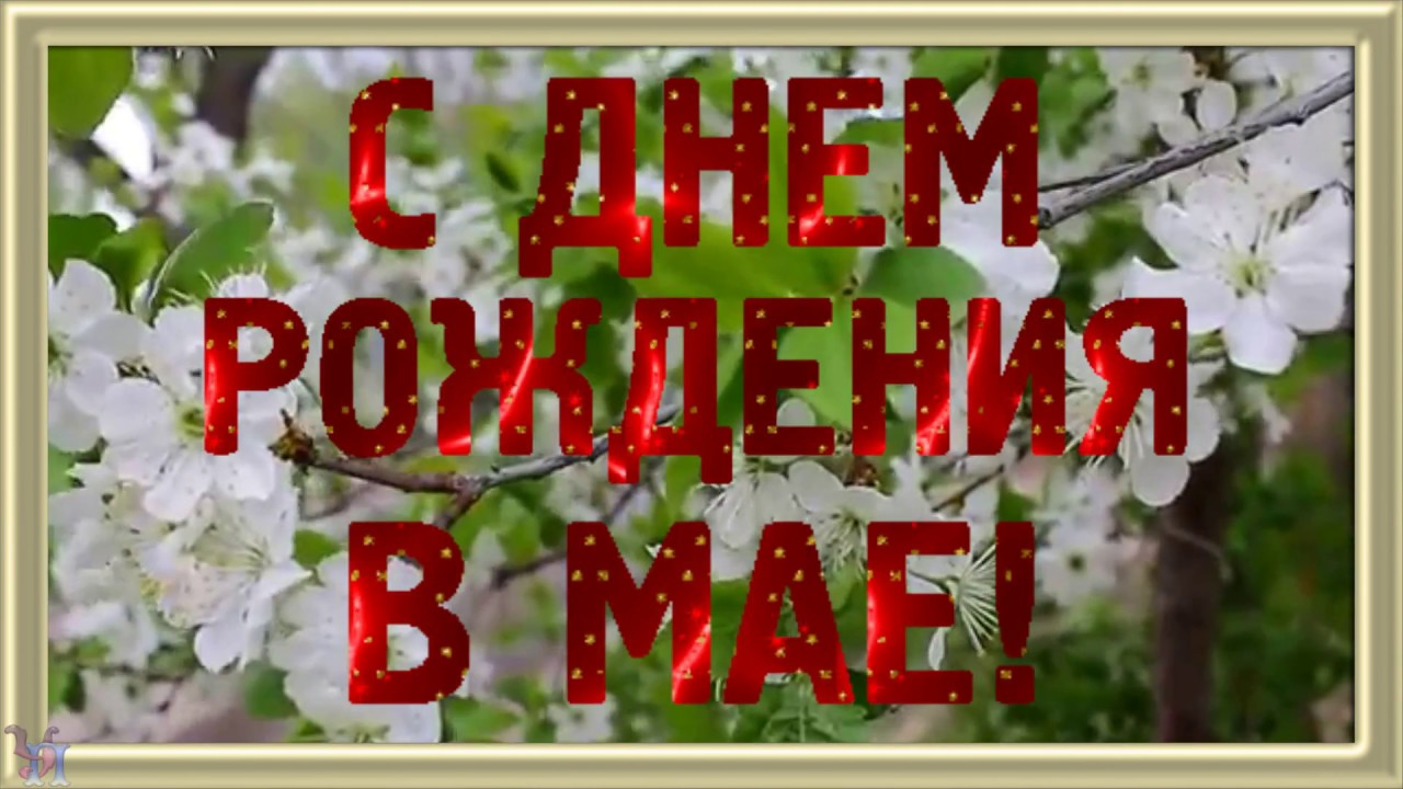 Поздравление день рождения мая Поздравление день рождения мая