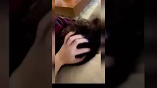 Mahsun Kırmızıgül Eşini Aldattı Mı?