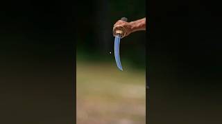 Mr Beast Kurşun Vs Katana Yi Kapiştiriyor Ve Katana Kurşunu İki̇ye Bölüyor Ve Adam Mi̇lyoner Oluyor