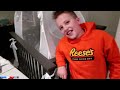 Are Crib Tents Really Safe?? Family Fun Pack New Year Special