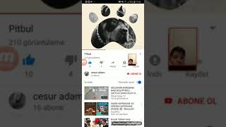 Sinif Yoldaşım En Çok Güzel Videoları Var Ben De Bu Videoları Sergilemek Için Kendi Kında Onun