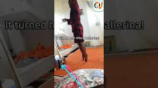 Mzansi Fun