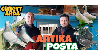 Anti̇ka Postalar - Cüneyt Arda