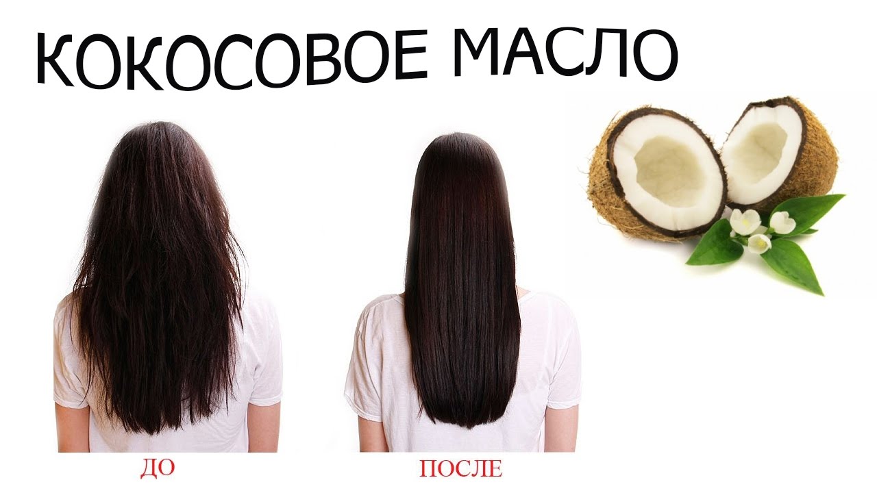 2019 год - Кокосовое масло для волос 2019 год - Кокосовое масло для волос | Golbis