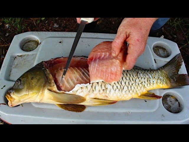 Watch Catch and Cook Carp - How to cook carp -  carp fishing tips & carp recipe. on YouTube.