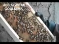 wifakassociation goulmima boutanfit 2
