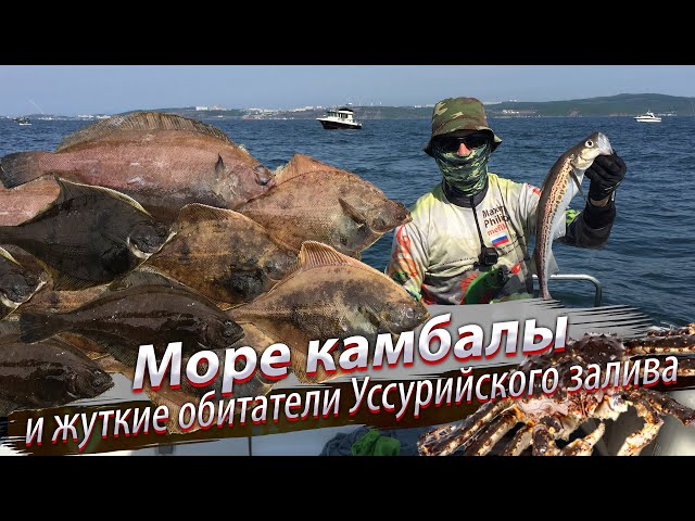 Тащим КАМЧАТСКОГО КРАБА и ведро КАМБАЛЫ. Морская рыбалка. Японское море. Уссурийский залив. 2019/06