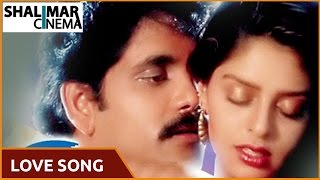 Love Song Of The Day 203 || Telugu Movies Love Video Songs || Shalimarcinema || Shlimarcinema