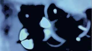 Watch Andrew Bird Actionadventure video