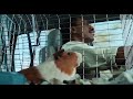 Dr.Dolittle comedy scene 1 tamil dubbed HD