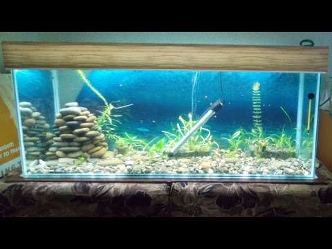 Как Сделать Своими Руками Аквариумную Крышку