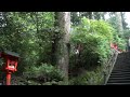 箱根神社のパワースポット　参道