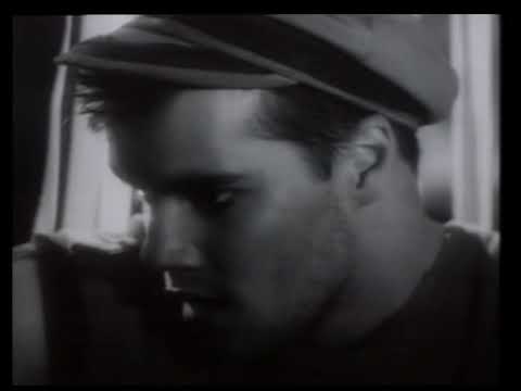 Cargo Video
