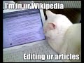 Shonen Knife - I Am A Cat Shonen Knife - I Am A Cat