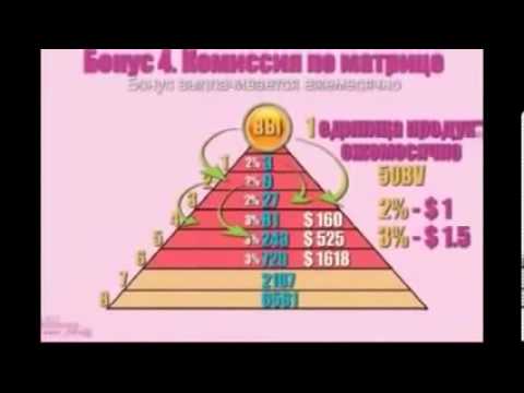 Маркетинг план компании Skinny Body Care 1