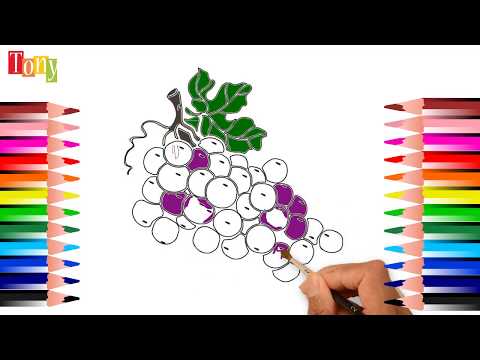 Drawing and Coloring Vegetables , Vẽ tranh tô màu Rau củ quả, be tap to mau