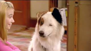 Disney Channel Next Bumper (Dog With A Blog) (Fall 2014)