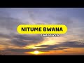 Nitume Mimi Bwana | Godfrey Masokola | Lyrics video