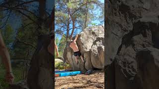 Lappui Acide - Is 6A Bois Rond, Fontainebleau