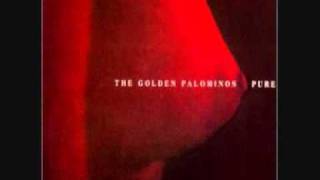 Watch Golden Palominos Gun video