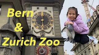 Switzerland, Bern & Zurich Zoo, Clock Tower, Bears & More
