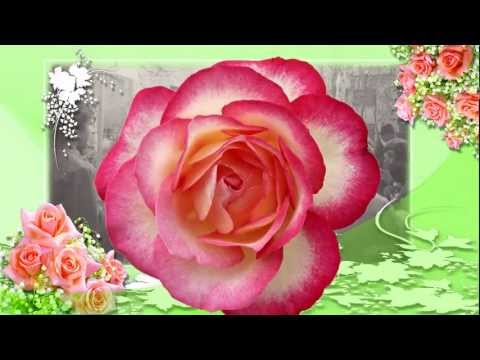 Слайд открытка на день рождение Слайд открытка на день рождение