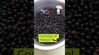 Maqui