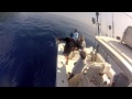 Jigging