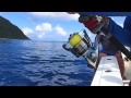 Jigging