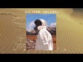 Silicon Valley Video preview