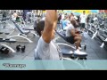 delts