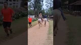 Andando De Cavalo Pela Primeira Vez