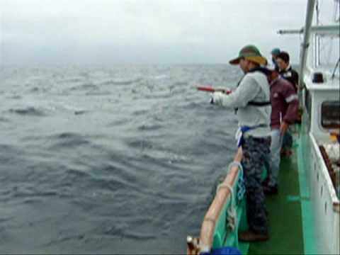 Amberjack 9kg. Kouryoumaru@Muroto.