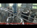 Stainless steel tank tomato tank with agitator video demo