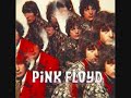 Pink Floyd-the Scarecrow