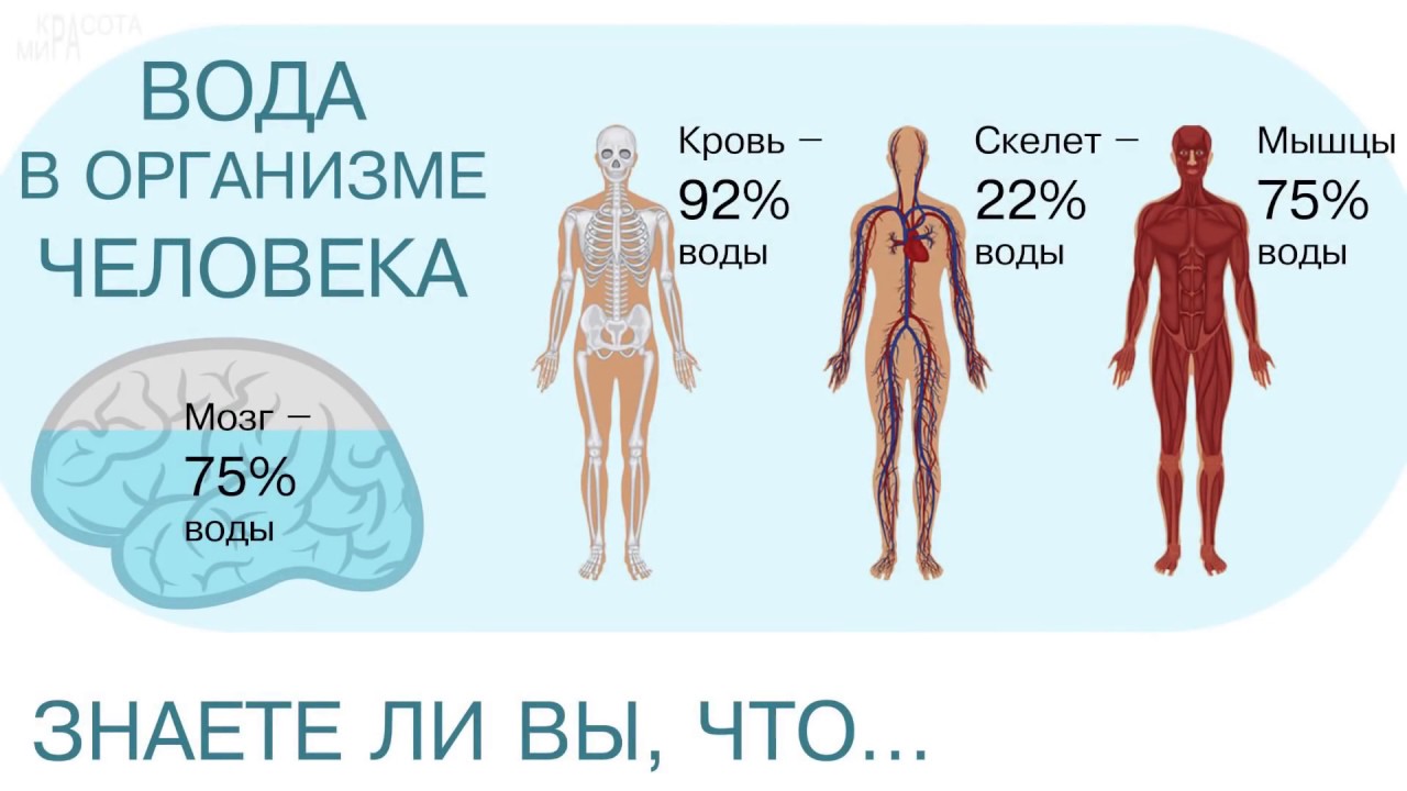 Вода выходит из организма почему 62
