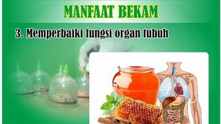 Terapi Pijat